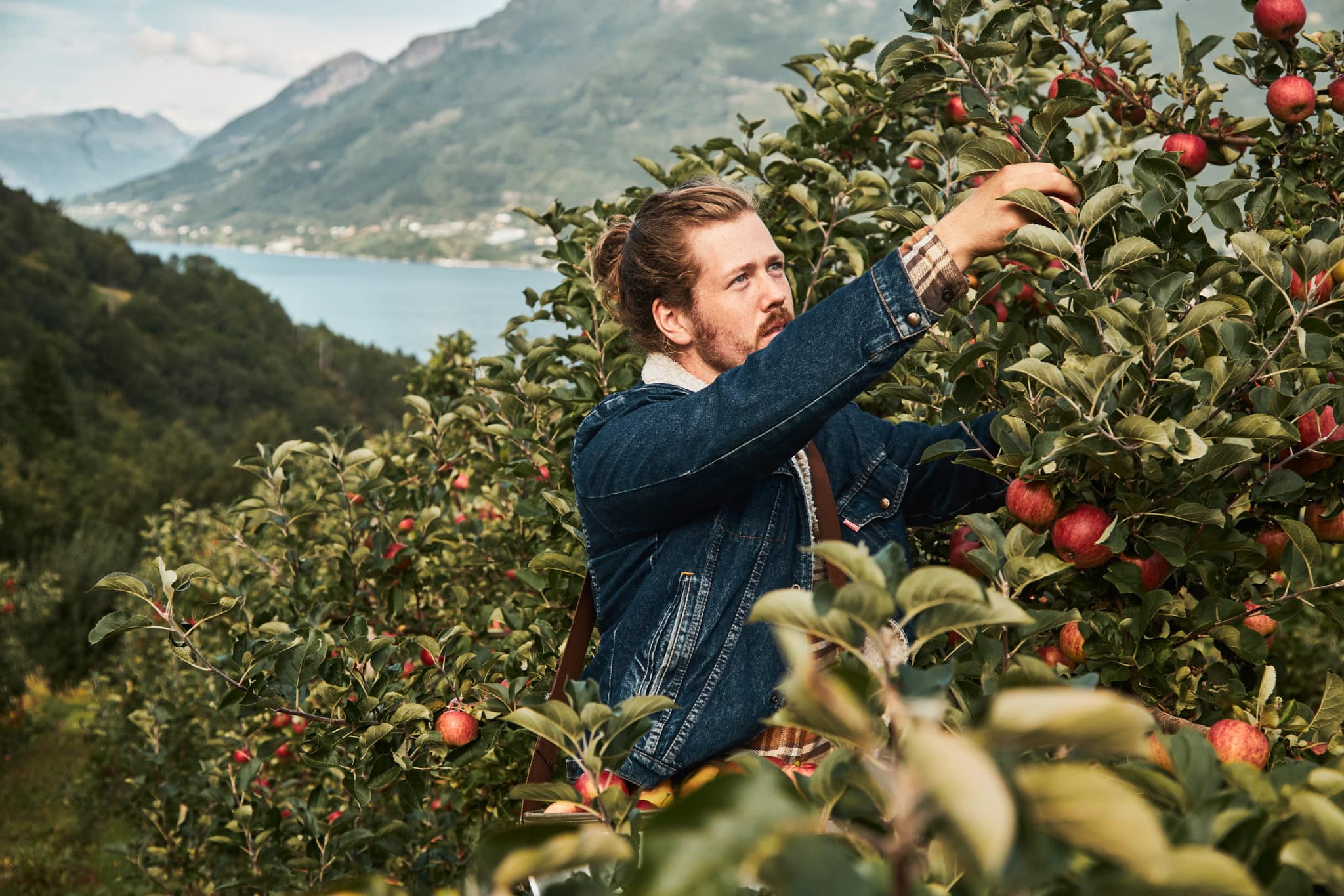 cider cruise hardanger